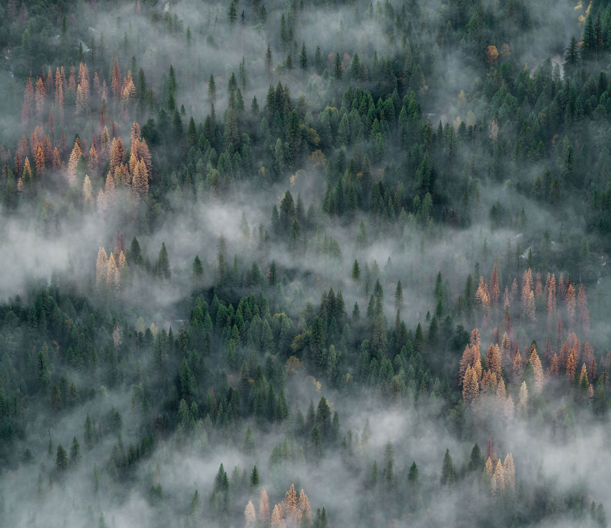 Daily Thoughtful Inspiration: Dare To Change Your Story! Daily Thoughtful Inspiration: Dare To Change Your Story!