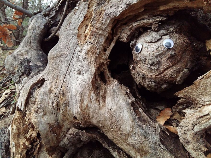 I Bring Bulgarian Streets To Life By Putting Googly Eyes On Random Objects