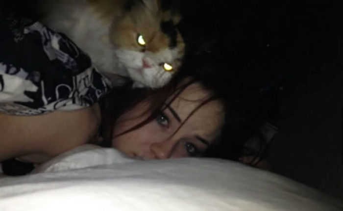 50 Pics Proving That Cats Are Actually Demons 50 Pics Proving That Cats Are Actually Demons