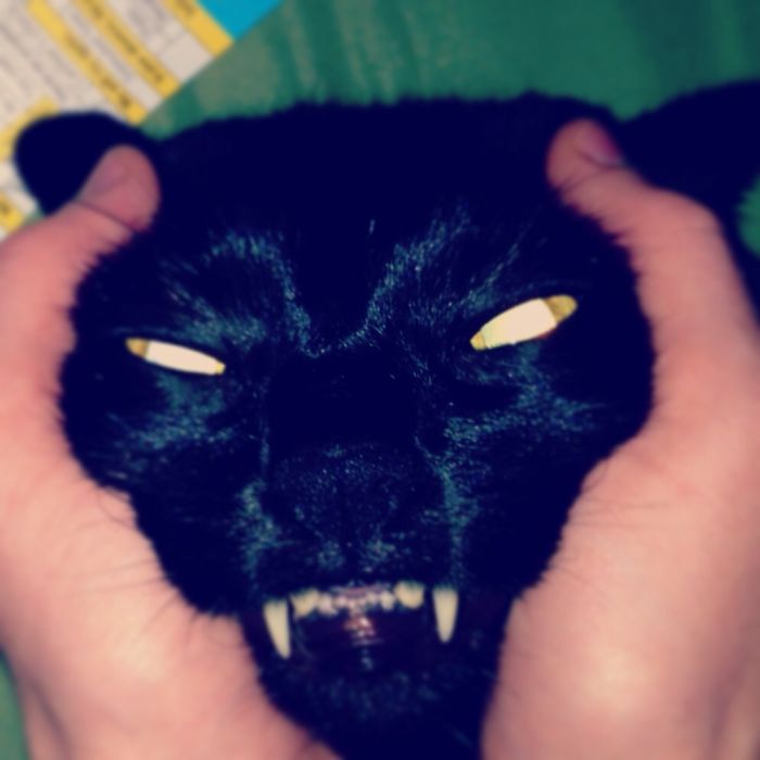 50 Pics Proving That Cats Are Actually Demons 50 Pics Proving That Cats Are Actually Demons