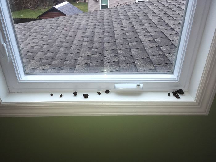 People Ask Me How It Is To Have 3 Little Kids. My Pictures Sum It Up Pretty Well People Ask Me How It Is To Have 3 Little Kids. My Pictures Sum It Up Pretty Well