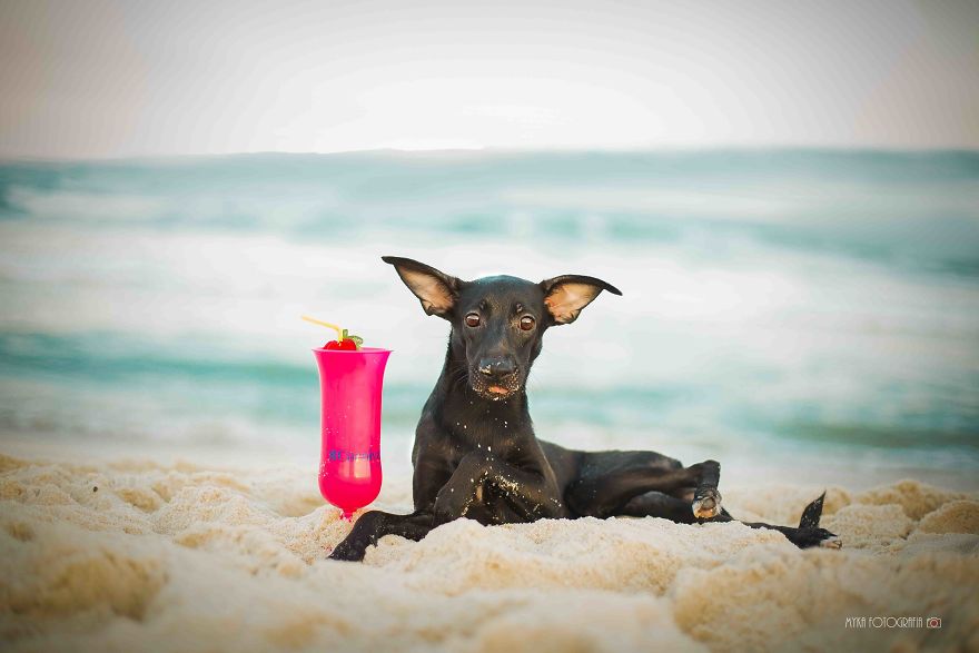 Every Day Feels Like Holiday To Me. I&#8217;ll Tell You Why!