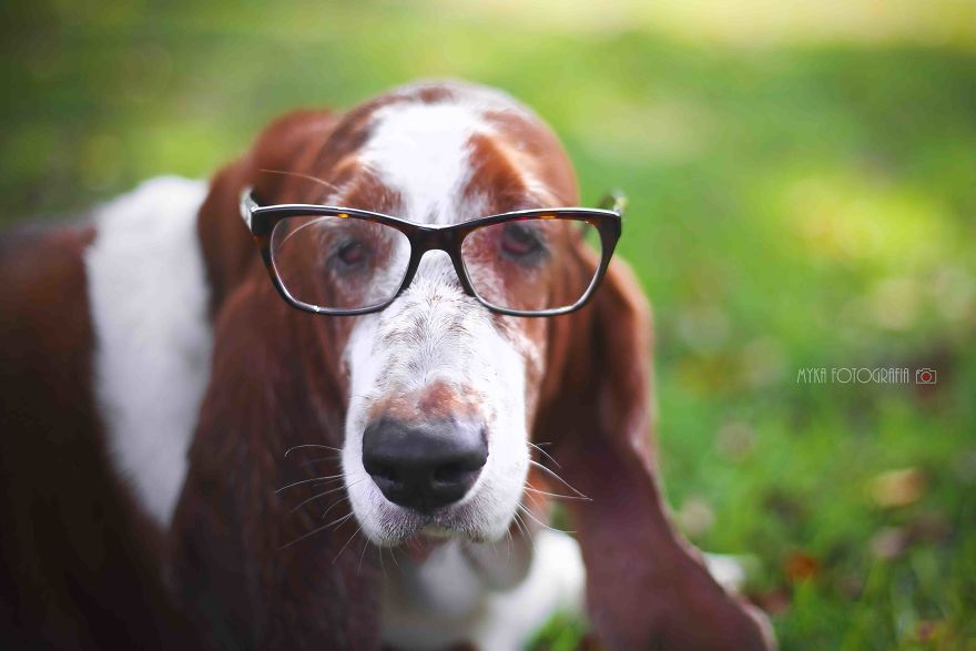 Every Day Feels Like Holiday To Me. I&#8217;ll Tell You Why!