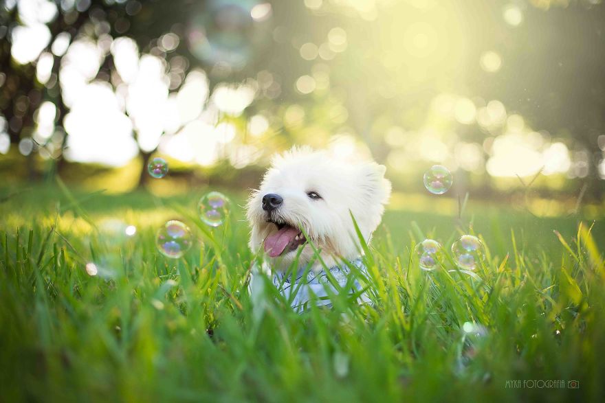 Every Day Feels Like Holiday To Me. I&#8217;ll Tell You Why!