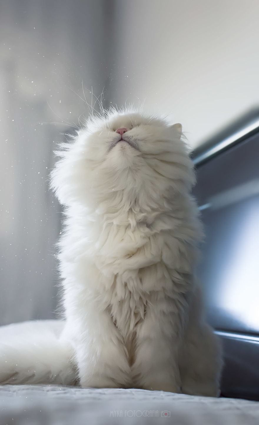 Every Day Feels Like Holiday To Me. I&#8217;ll Tell You Why!