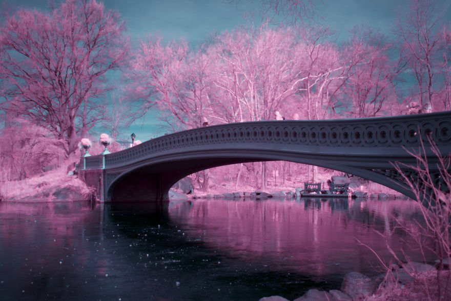 I Captured How New York Would Look Like If You Saw It In Infrared I Captured How New York Would Look Like If You Saw It In Infrared