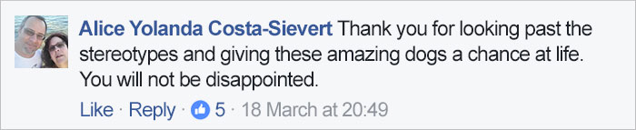 Instead Of Spending $15-$20,000 For Purebred German Shepherds, These Cops Are Getting Rescue Pit Bulls