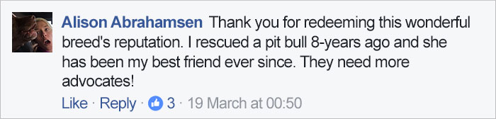 Instead Of Spending $15-$20,000 For Purebred German Shepherds, These Cops Are Getting Rescue Pit Bulls