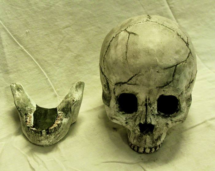 Terrifying Fireproof Human Skull Logs For Your Next Family Camping Trip Terrifying Fireproof Human Skull Logs For Your Next Family Camping Trip