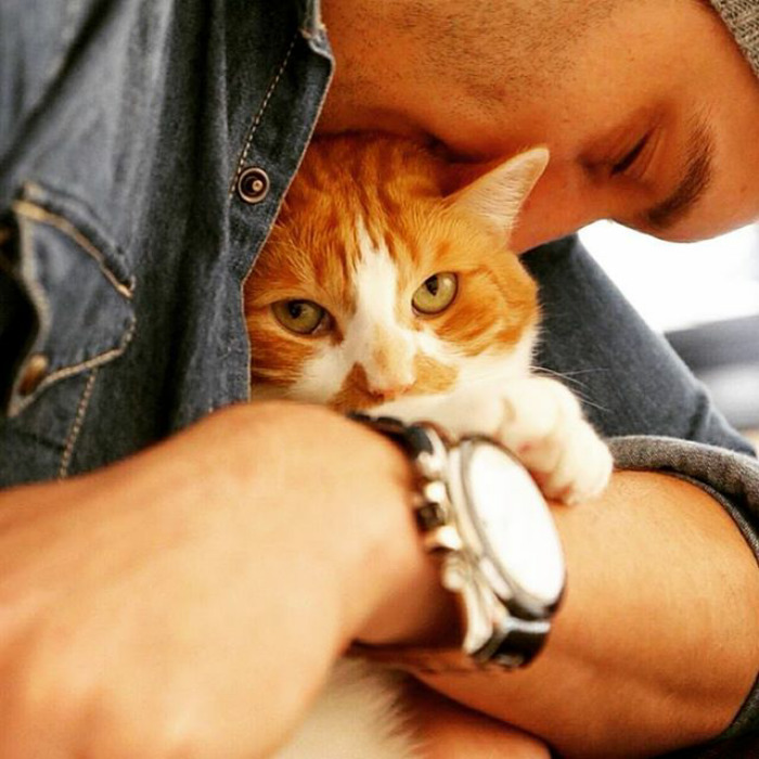 Hot Dudes With Kittens Is Still The Most Purrfect Instagram Account Ever (159 New Pics)