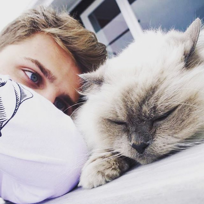 Hot Dudes With Kittens Is Still The Most Purrfect Instagram Account Ever (159 New Pics)