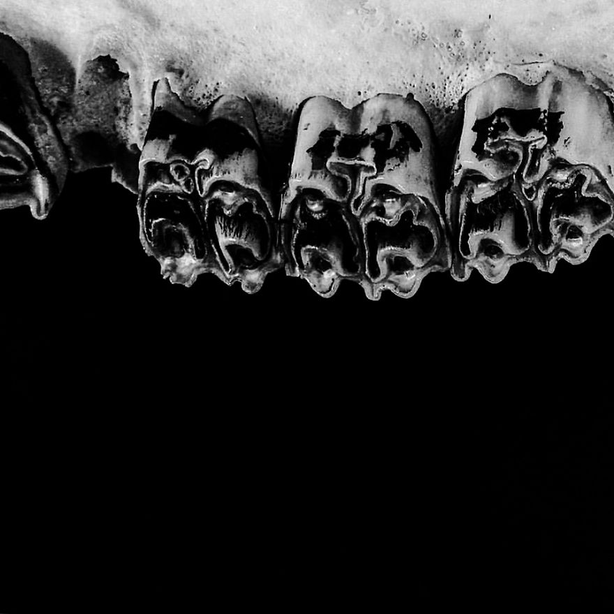 The Art Of Death: I Photograph Skulls