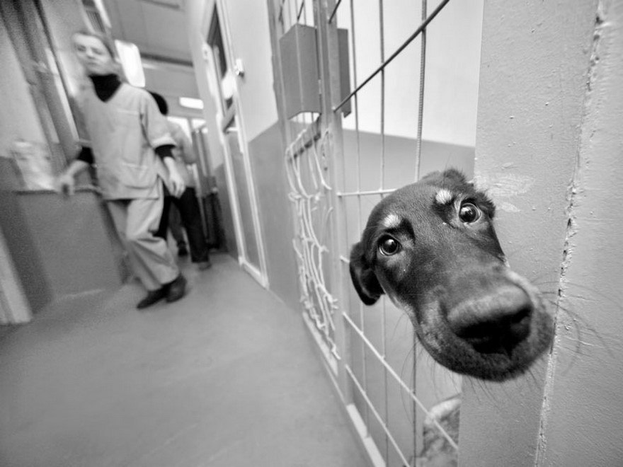 170 Honest Pictures Of Russia You’ll Never See On Postcards By Street Photographer Alexander Petrosyan 170 Honest Pictures Of Russia You’ll Never See On Postcards By Street Photographer Alexander Petrosyan