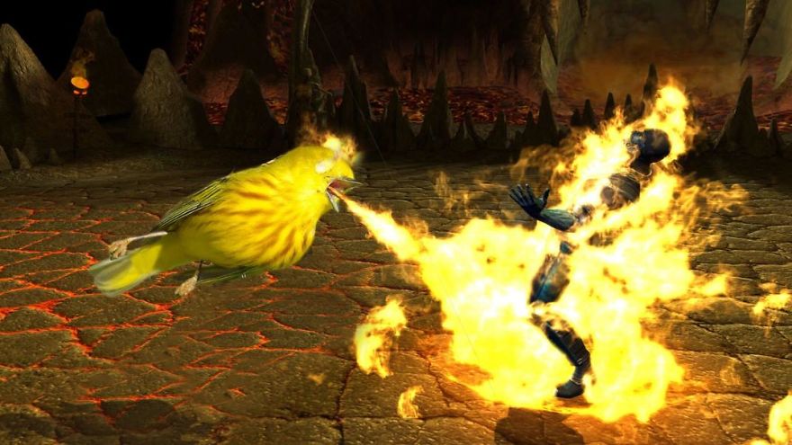 Challenge: Photoshop This Screaming Bird