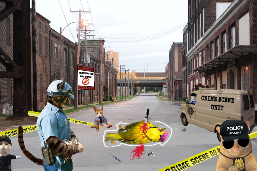 Challenge: Photoshop This Screaming Bird