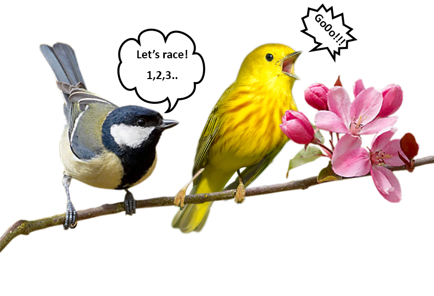 Challenge: Photoshop This Screaming Bird