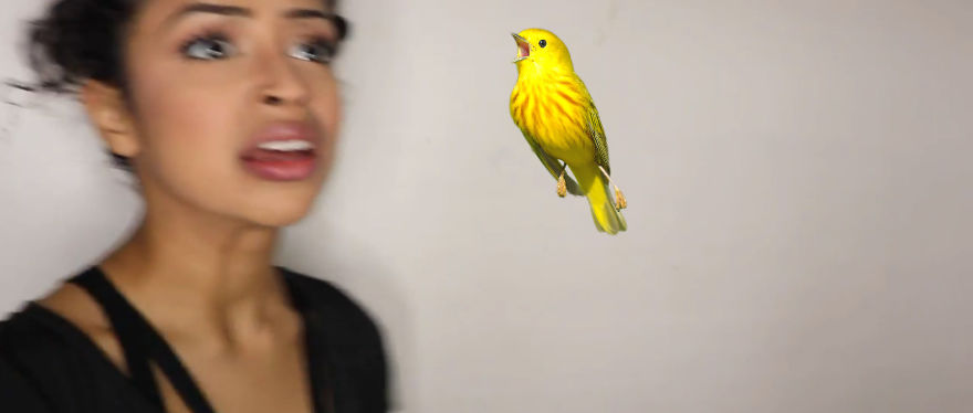 Challenge: Photoshop This Screaming Bird