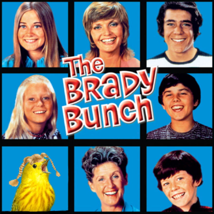 Challenge: Photoshop This Screaming Bird