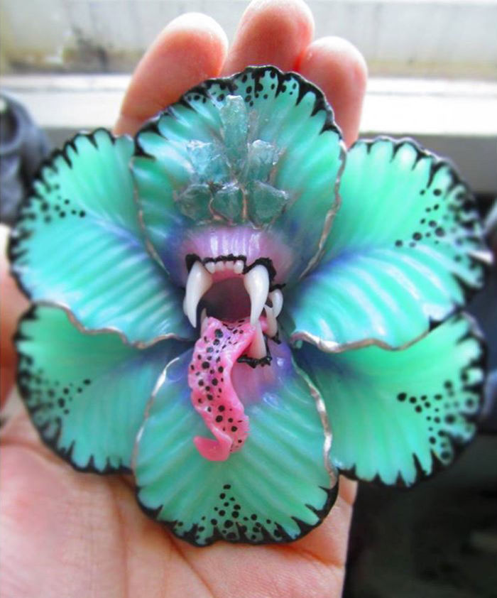 I Create Jewelry That Wants To Eat You I Create Jewelry That Wants To Eat You