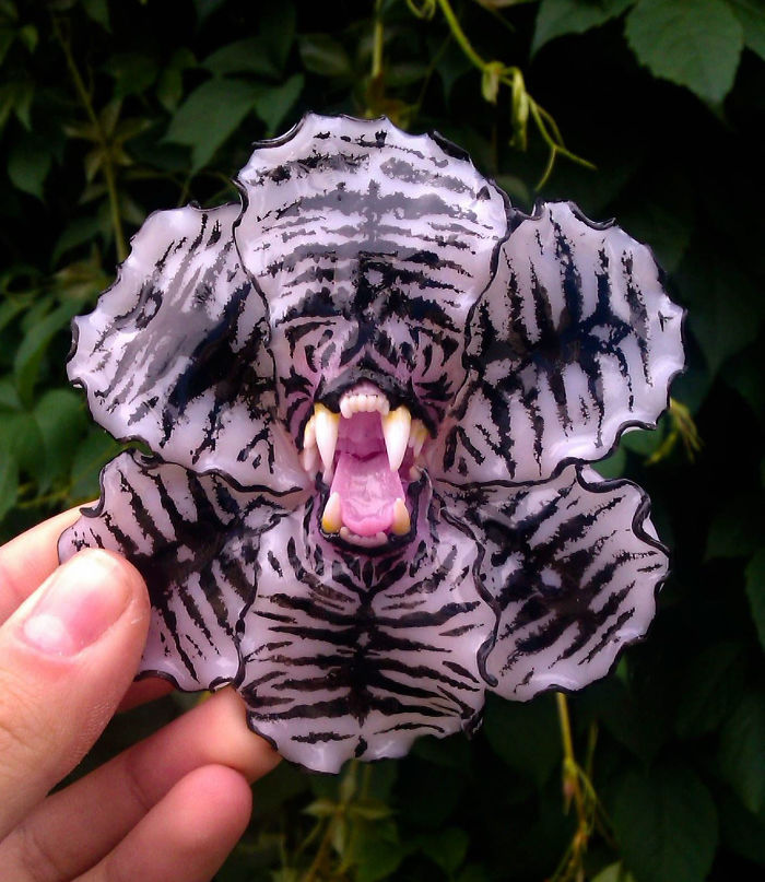 I Create Jewelry That Wants To Eat You I Create Jewelry That Wants To Eat You