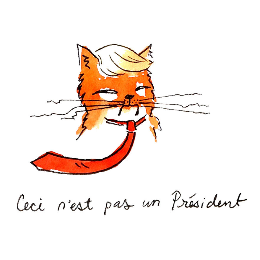 The Adventures Of President Trumpy Cat The Adventures Of President Trumpy Cat