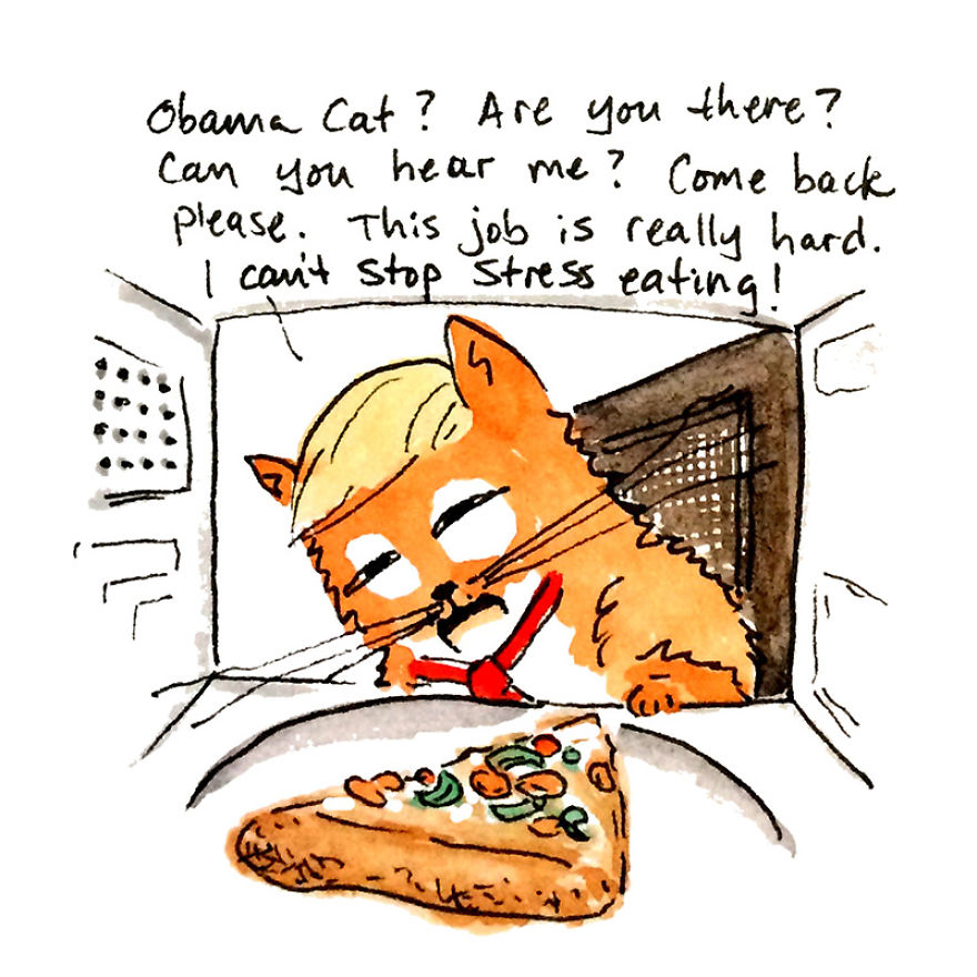 The Adventures Of President Trumpy Cat The Adventures Of President Trumpy Cat
