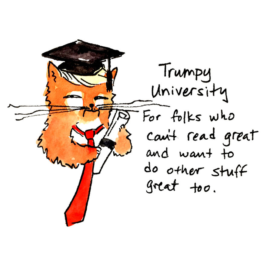 The Adventures Of President Trumpy Cat The Adventures Of President Trumpy Cat