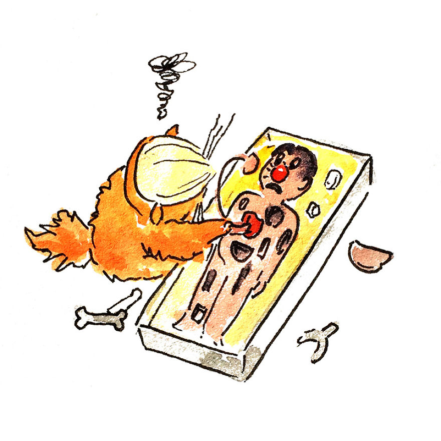 The Adventures Of President Trumpy Cat The Adventures Of President Trumpy Cat