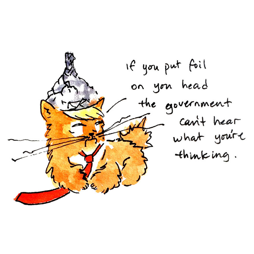 The Adventures Of President Trumpy Cat The Adventures Of President Trumpy Cat