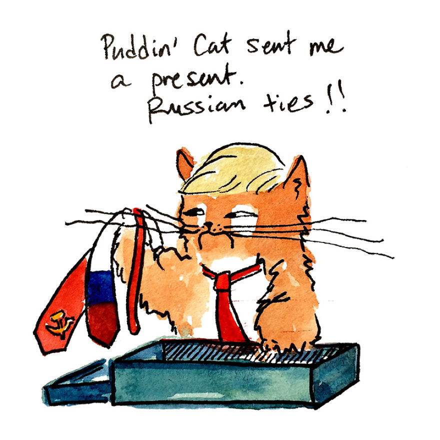 The Adventures Of President Trumpy Cat The Adventures Of President Trumpy Cat