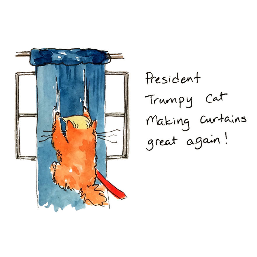The Adventures Of President Trumpy Cat The Adventures Of President Trumpy Cat