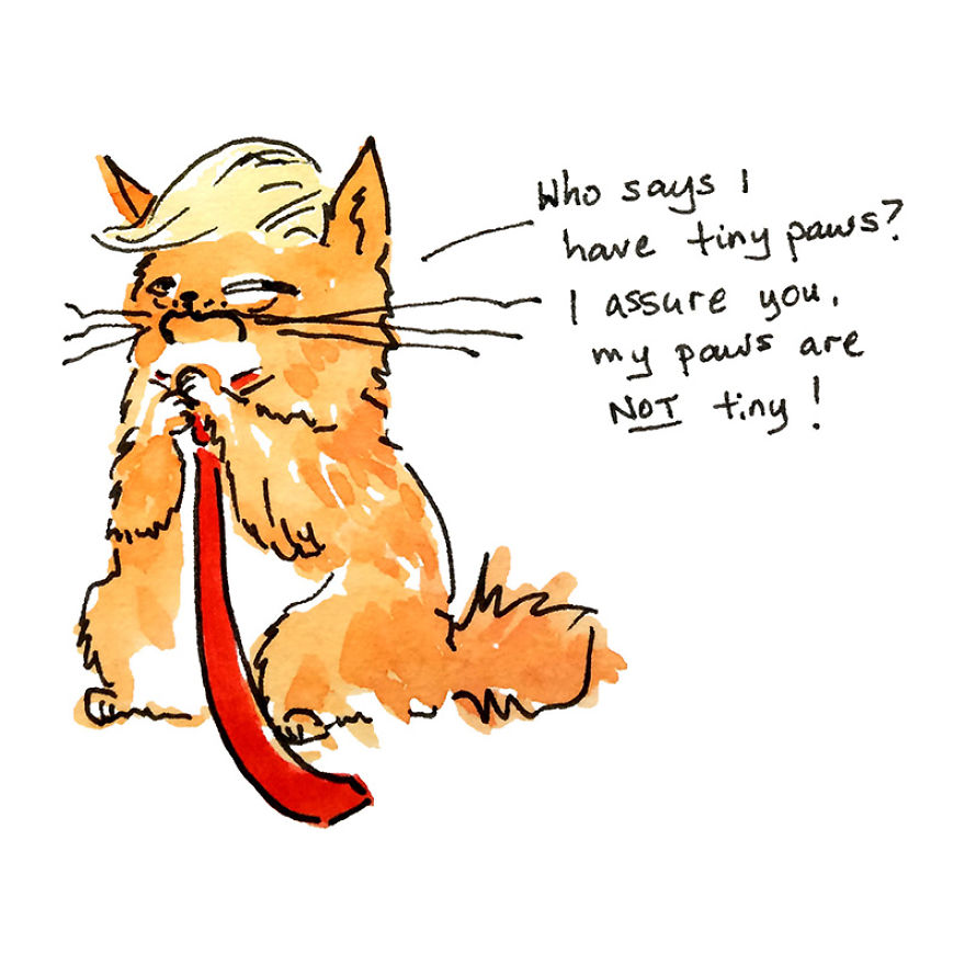 The Adventures Of President Trumpy Cat The Adventures Of President Trumpy Cat