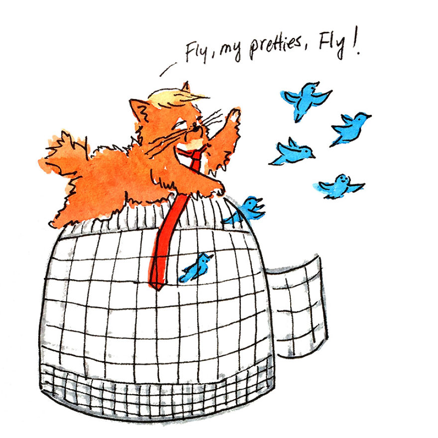 The Adventures Of President Trumpy Cat The Adventures Of President Trumpy Cat