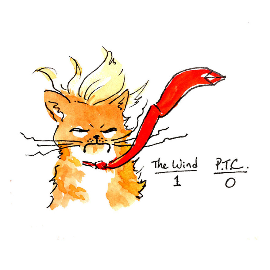 The Adventures Of President Trumpy Cat The Adventures Of President Trumpy Cat