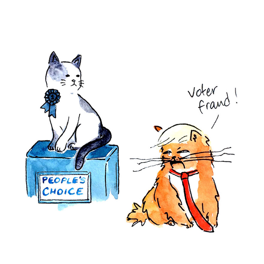 The Adventures Of President Trumpy Cat The Adventures Of President Trumpy Cat