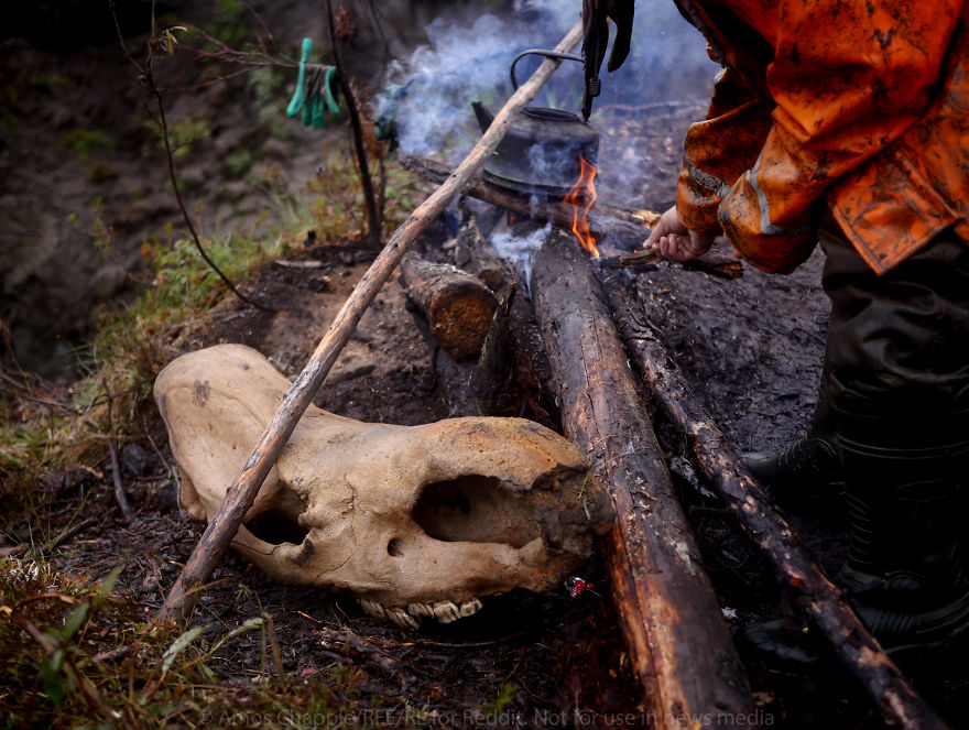 Photographer Joins Illegal Mammoth Tusk Hunt In Siberia, Captures How They Get Rich, Get Drunk And Nearly Die