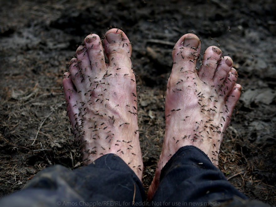 Photographer Joins Illegal Mammoth Tusk Hunt In Siberia, Captures How They Get Rich, Get Drunk And Nearly Die