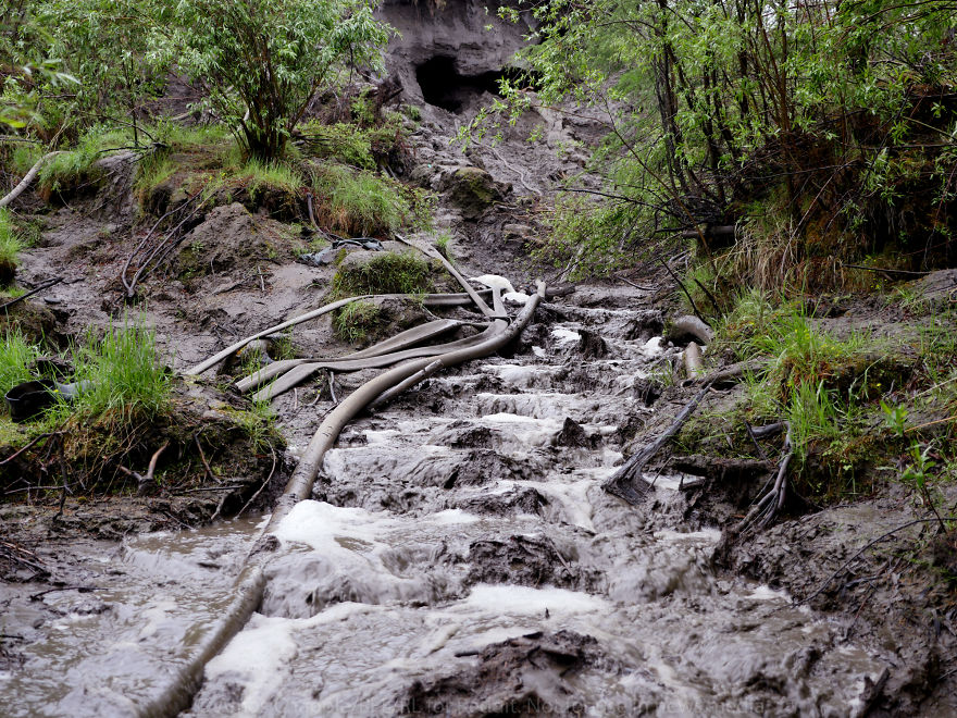 Photographer Joins Illegal Mammoth Tusk Hunt In Siberia, Captures How They Get Rich, Get Drunk And Nearly Die