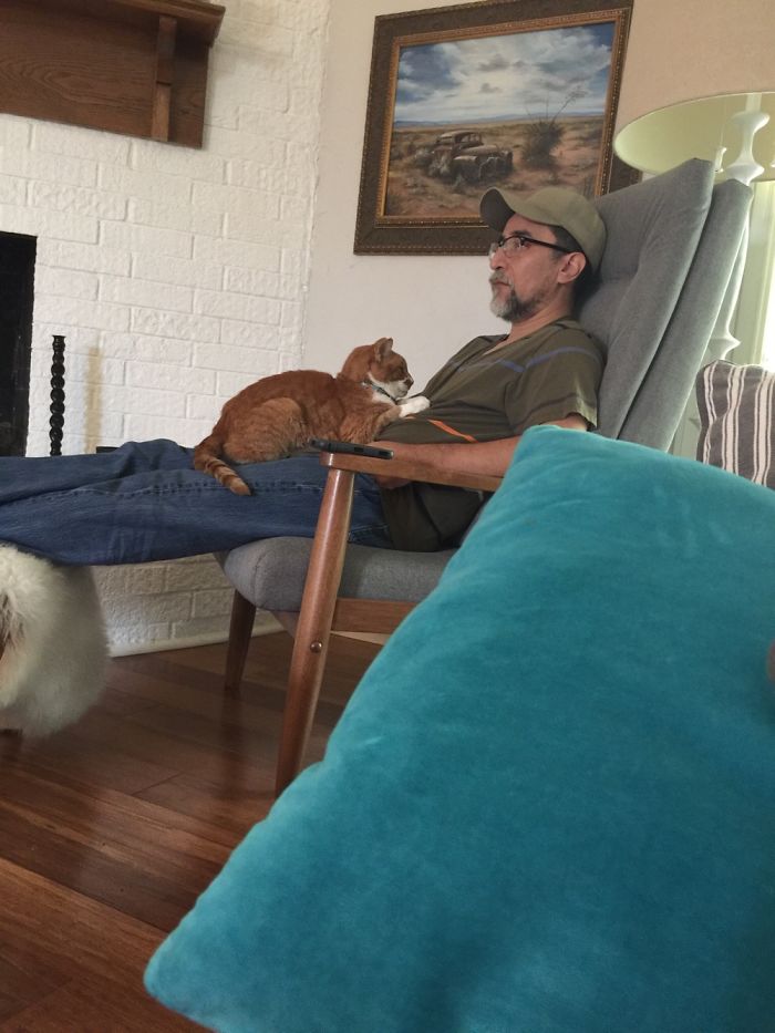 128 Times Cats Found Catnip, And Cat.exe Stopped Functioning 128 Times Cats Found Catnip, And Cat.exe Stopped Functioning