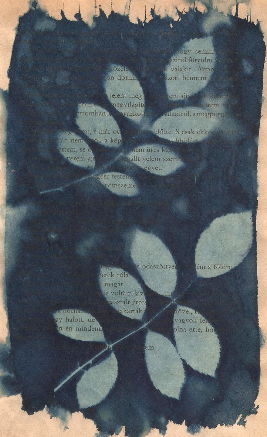 I Create Beautiful Mistakes Deliberately Wrecking Cyanotype Photo Process I Create Beautiful Mistakes Deliberately Wrecking Cyanotype Photo Process