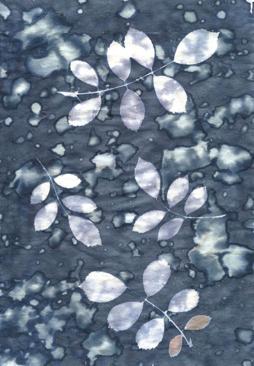 I Create Beautiful Mistakes Deliberately Wrecking Cyanotype Photo Process I Create Beautiful Mistakes Deliberately Wrecking Cyanotype Photo Process