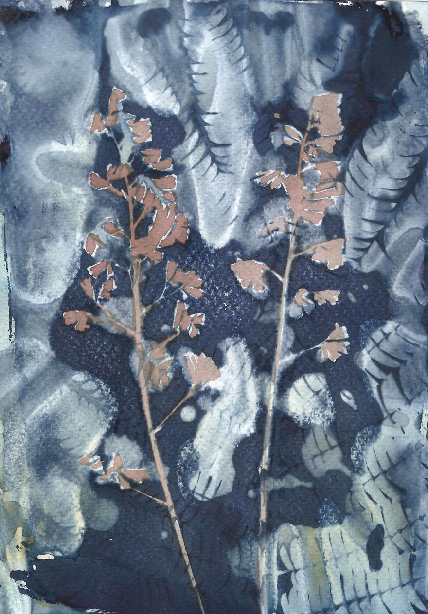 I Create Beautiful Mistakes Deliberately Wrecking Cyanotype Photo Process I Create Beautiful Mistakes Deliberately Wrecking Cyanotype Photo Process