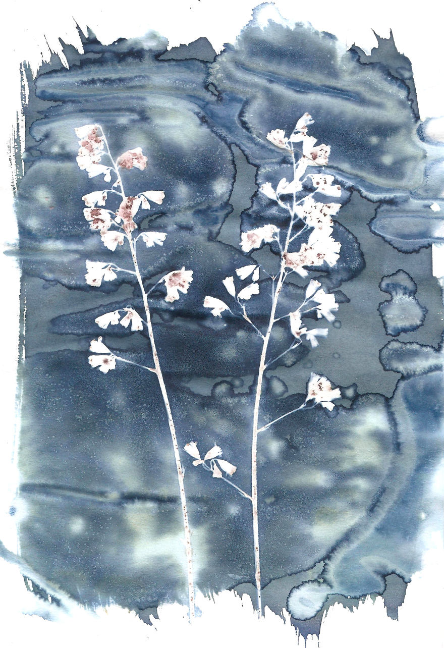 I Create Beautiful Mistakes Deliberately Wrecking Cyanotype Photo Process I Create Beautiful Mistakes Deliberately Wrecking Cyanotype Photo Process
