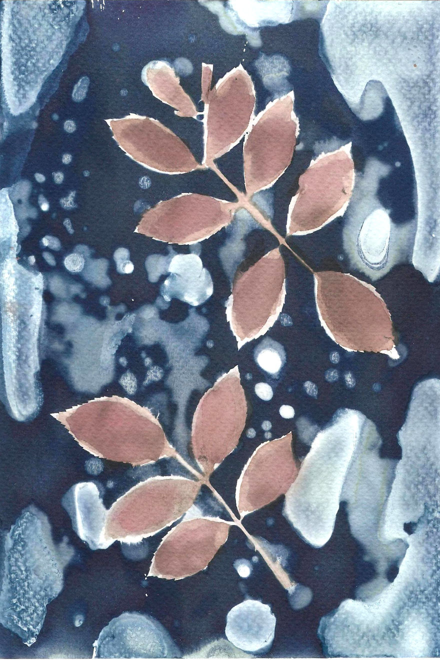 I Create Beautiful Mistakes Deliberately Wrecking Cyanotype Photo Process I Create Beautiful Mistakes Deliberately Wrecking Cyanotype Photo Process