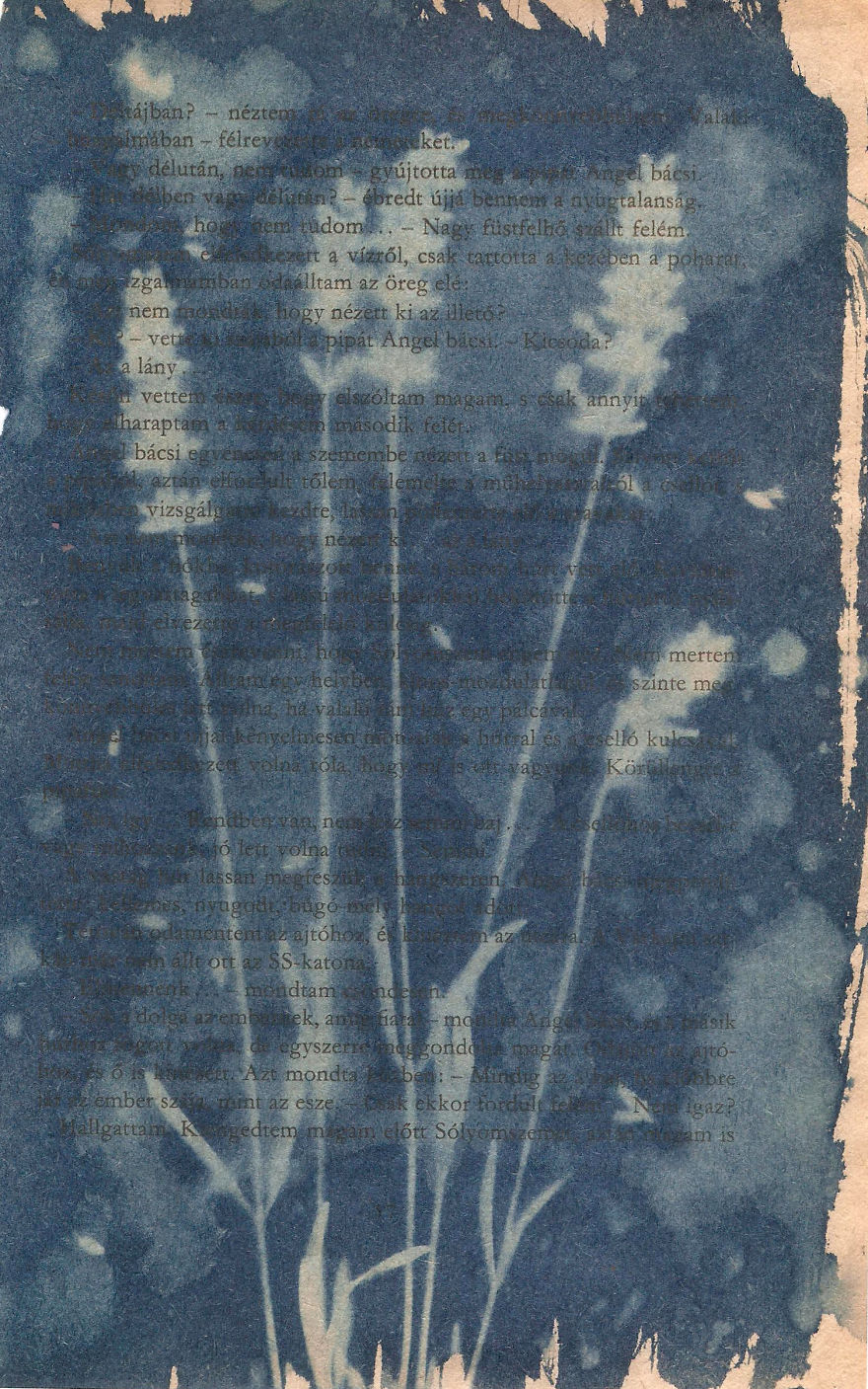 I Create Beautiful Mistakes Deliberately Wrecking Cyanotype Photo Process I Create Beautiful Mistakes Deliberately Wrecking Cyanotype Photo Process