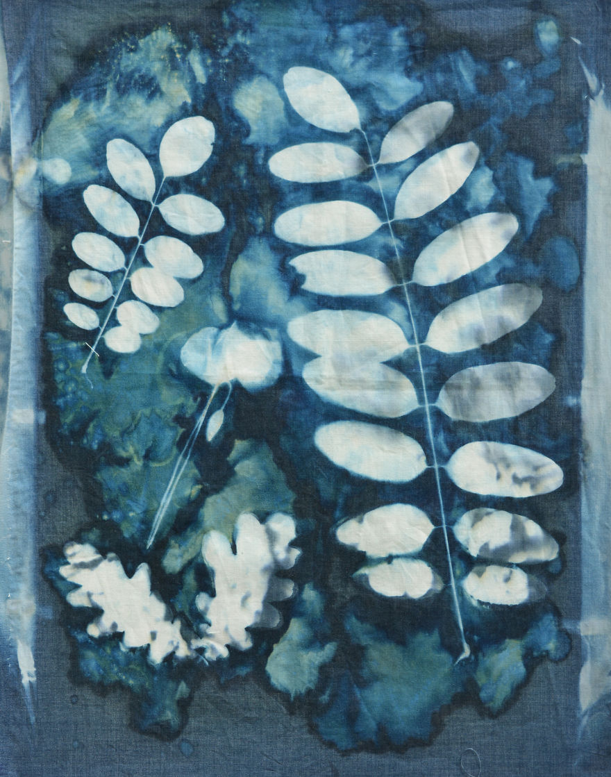 I Create Beautiful Mistakes Deliberately Wrecking Cyanotype Photo Process I Create Beautiful Mistakes Deliberately Wrecking Cyanotype Photo Process
