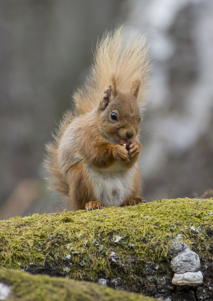 I Spent Time With These Wonderful Creatures