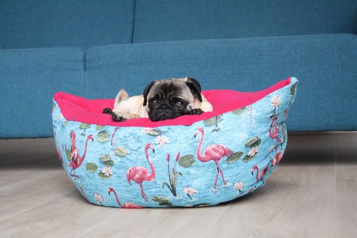 These Pugs Have The Hardest Job These Pugs Have The Hardest Job