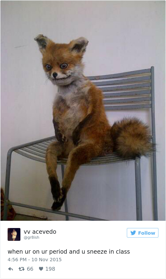 105 Painfully Hilarious Posts About Periods That Only Women Will Understand 105 Painfully Hilarious Posts About Periods That Only Women Will Understand