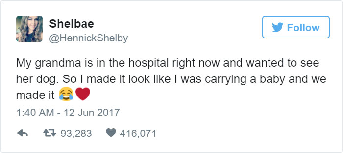 This Girl Just Smuggled Her Grandmother&#8217;s Dog Into Hospital, And People Can&#8217;t Handle It